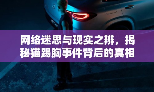 網(wǎng)絡(luò)迷思與現(xiàn)實(shí)之辨，揭秘貓?zhí)咝厥录澈蟮恼嫦? class=