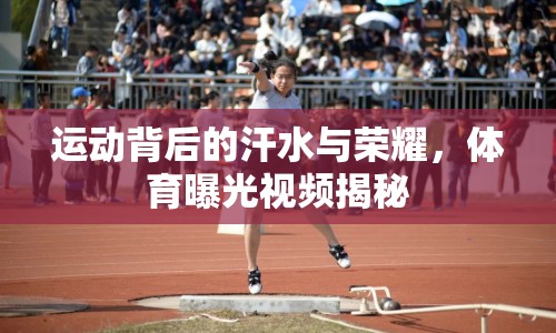 運(yùn)動(dòng)背后的汗水與榮耀，體育曝光視頻揭秘