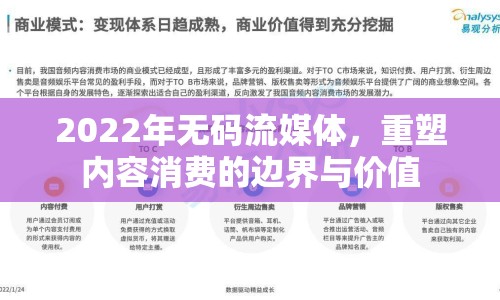 2022年無(wú)碼流媒體，重塑內(nèi)容消費(fèi)的邊界與價(jià)值