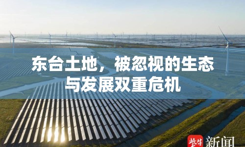 東臺(tái)土地，被忽視的生態(tài)與發(fā)展雙重危機(jī)