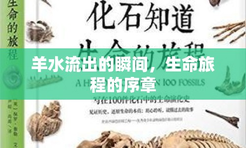 羊水流出的瞬間，生命旅程的序章
