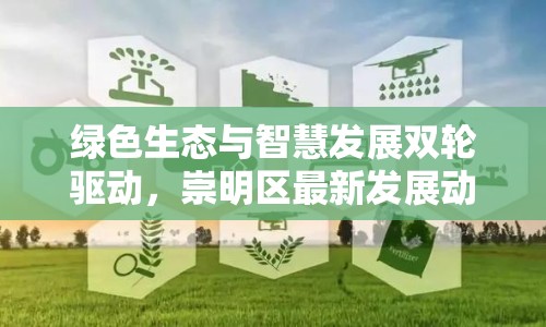 綠色生態(tài)與智慧發(fā)展雙輪驅(qū)動，崇明區(qū)最新發(fā)展動態(tài)