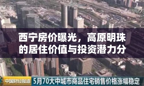 西寧房?jī)r(jià)曝光，高原明珠的居住價(jià)值與投資潛力分析