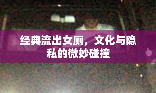 經(jīng)典流出女廁，文化與隱私的微妙碰撞