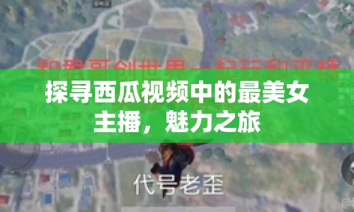 探尋西瓜視頻中的最美女主播，魅力之旅