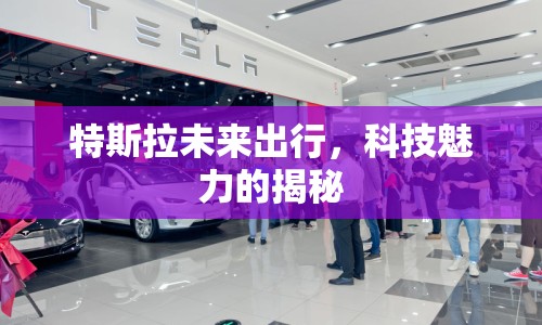 特斯拉未來出行，科技魅力的揭秘