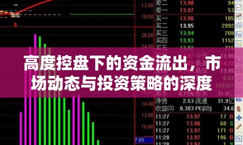 高度控盤(pán)下的資金流出，市場(chǎng)動(dòng)態(tài)與投資策略的深度剖析