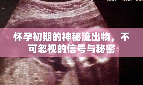 懷孕初期的神秘流出物，不可忽視的信號與秘密