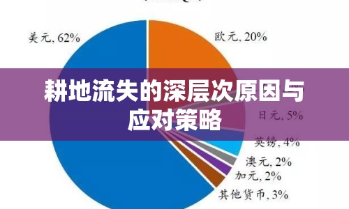 耕地流失的深層次原因與應(yīng)對策略
