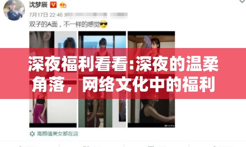 深夜福利看看:深夜的溫柔角落，網(wǎng)絡(luò)文化中的福利現(xiàn)象探討