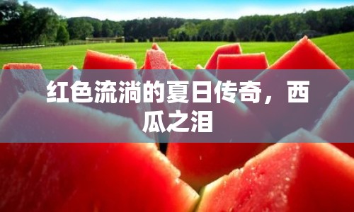 紅色流淌的夏日傳奇，西瓜之淚