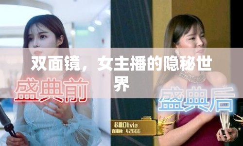 雙面鏡，女主播的隱秘世界