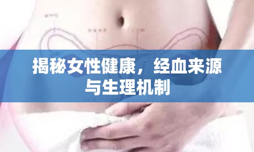 揭秘女性健康，經(jīng)血來(lái)源與生理機(jī)制