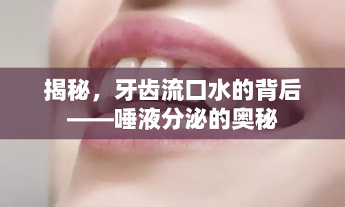 揭秘，牙齒流口水的背后——唾液分泌的奧秘