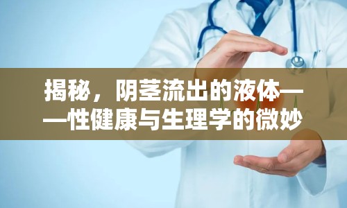 揭秘，陰莖流出的液體——性健康與生理學(xué)的微妙平衡