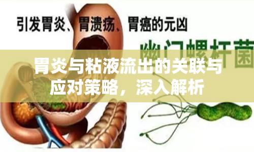 胃炎與粘液流出的關(guān)聯(lián)與應(yīng)對策略，深入解析