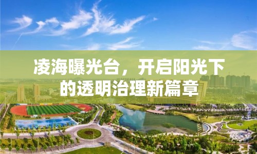 凌海曝光臺，開啟陽光下的透明治理新篇章
