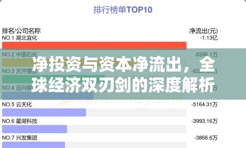 凈投資與資本凈流出，全球經(jīng)濟(jì)雙刃劍的深度解析