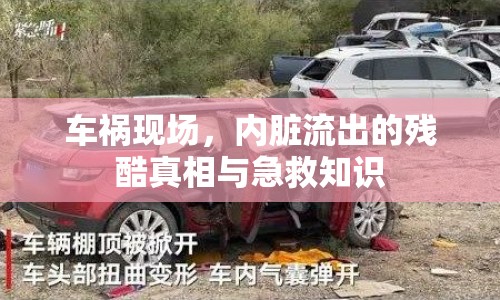 車禍現(xiàn)場(chǎng)，內(nèi)臟流出的殘酷真相與急救知識(shí)