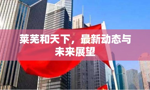 萊蕪和天下，最新動態(tài)與未來展望