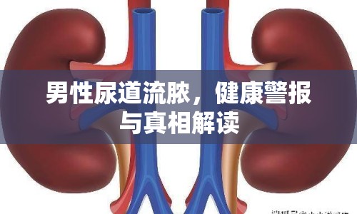 男性尿道流膿，健康警報(bào)與真相解讀