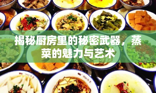 揭秘廚房里的秘密武器，蒸菜的魅力與藝術(shù)