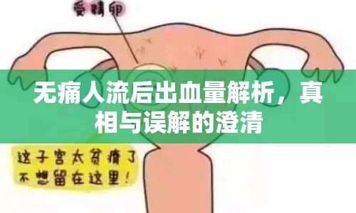 無痛人流后出血量解析，真相與誤解的澄清