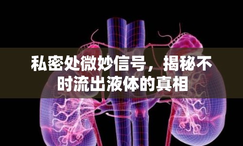 私密處微妙信號，揭秘不時流出液體的真相