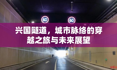 興國隧道，城市脈絡的穿越之旅與未來展望