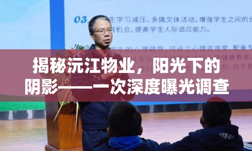 揭秘沅江物業(yè)，陽(yáng)光下的陰影——一次深度曝光調(diào)查