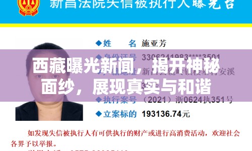 西藏曝光新聞，揭開神秘面紗，展現(xiàn)真實與和諧