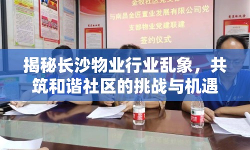 揭秘長(zhǎng)沙物業(yè)行業(yè)亂象，共筑和諧社區(qū)的挑戰(zhàn)與機(jī)遇
