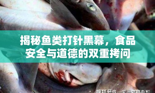 揭秘魚類打針黑幕，食品安全與道德的雙重拷問
