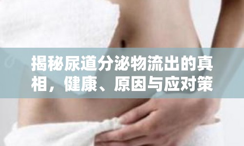 揭秘尿道分泌物流出的真相，健康、原因與應(yīng)對策略