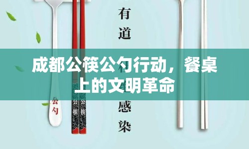 成都公筷公勺行動(dòng)，餐桌上的文明革命