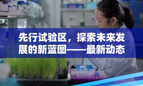 先行試驗(yàn)區(qū)，探索未來發(fā)展的新藍(lán)圖——最新動(dòng)態(tài)與未來展望
