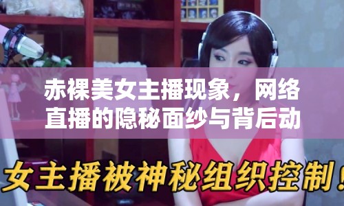 赤裸美女主播現(xiàn)象，網(wǎng)絡(luò)直播的隱秘面紗與背后動機(jī)