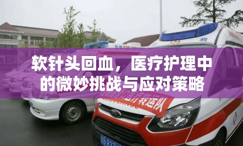 軟針頭回血，醫(yī)療護理中的微妙挑戰(zhàn)與應對策略