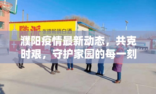 濮陽疫情最新動態(tài)，共克時艱，守護家園的每一刻