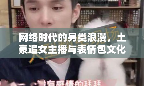 網(wǎng)絡(luò)時代的另類浪漫，土豪追女主播與表情包文化的交織