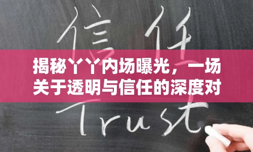 揭秘丫丫內(nèi)場曝光，一場關(guān)于透明與信任的深度對話