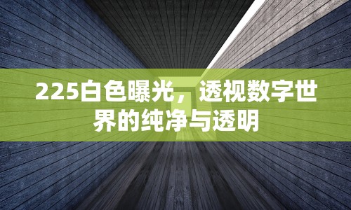 225白色曝光，透視數(shù)字世界的純凈與透明