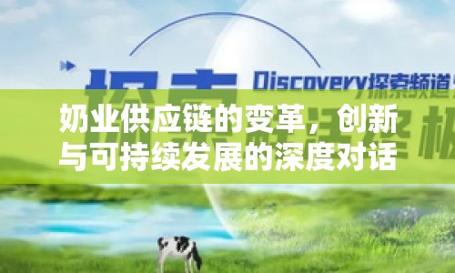 奶業(yè)供應(yīng)鏈的變革，創(chuàng)新與可持續(xù)發(fā)展的深度對話