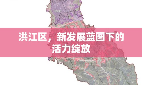 洪江區(qū)，新發(fā)展藍圖下的活力綻放