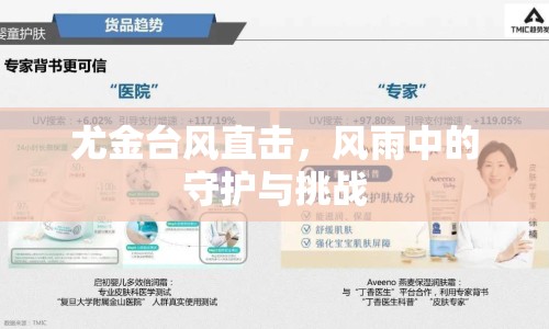 尤金臺風(fēng)直擊，風(fēng)雨中的守護與挑戰(zhàn)