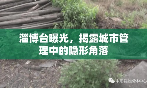 淄博臺曝光，揭露城市管理中的隱形角落