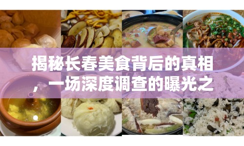 揭秘長春美食背后的真相，一場深度調(diào)查的曝光之旅