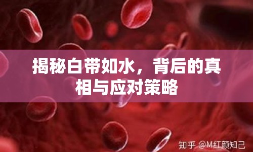 揭秘白帶如水，背后的真相與應(yīng)對(duì)策略
