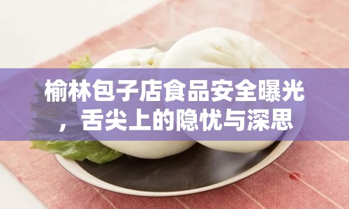 榆林包子店食品安全曝光，舌尖上的隱憂與深思