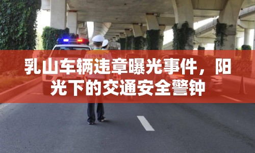 乳山車輛違章曝光事件，陽光下的交通安全警鐘